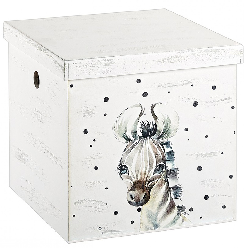 kouti-kivos-ZEBRA