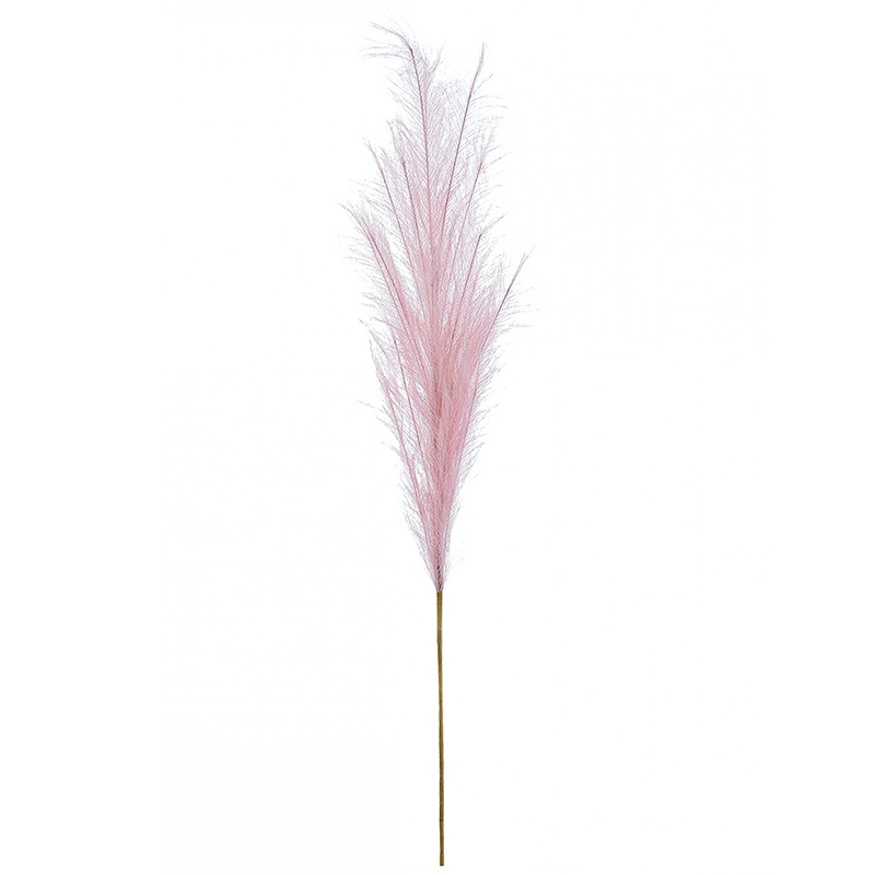 pampas-pink