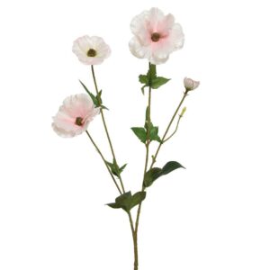 ΛΟΥΛΟΥΔΙ 67CM Beauty Home