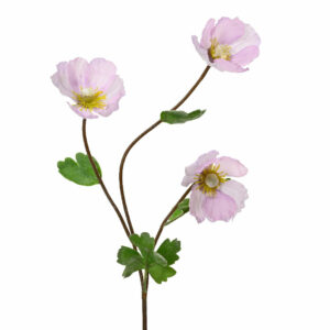 ΠΑΠΑΡΟΥΝΑ ΛΕΥΚΗ ΡΟΖ 71 cm Beauty Home - Image 1