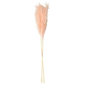 PAMPAS ΡΟΖ 80 CM 3 ΤΜΧ Beauty Home