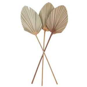 ΦΥΛΛΑ ΠΑΛΜΑ ΣΕΤ 3 ΤΜΧ 60 x 15 cm Beauty Home - Image 1
