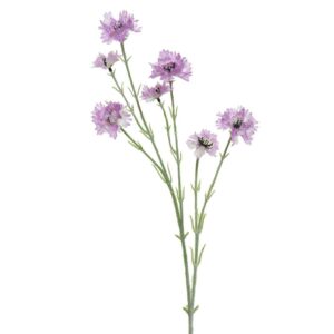ΛΟΥΛΟΥΔΙ 68 CM Beauty Home - Image 1