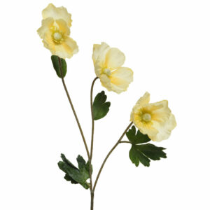 ΠΑΠΑΡΟΥΝΑ ΚΙΤΡΙΝΗ 71 CM Beauty Home - Image 1